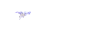 Pegasus