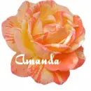 Amanda