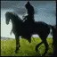 Black-Rider