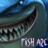 Fish-are-friends