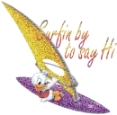 Surfin By