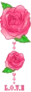 roses