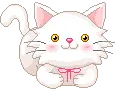 kitty