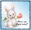 how's my friend today???