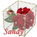 Sandy - Rose Glassbox