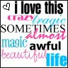 Life icon
