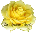 Yellow Rose