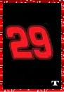 kevin harvick