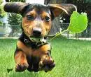 i bileev i can fli!!!!!