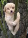 shhhhhh they might not see me up here