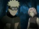 narusaku