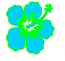 flasy flower