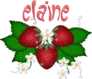 elaine