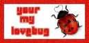 your my Lovebug