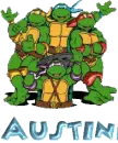 Austin turtles