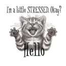 stressed cat