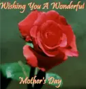 Mother's day  Rose
