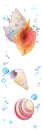 SEA SHELL