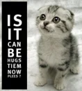 hugs