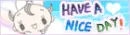 HAVE A NICE DAY