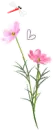 PINK FLOWER