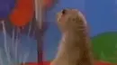 Dramatic Praire dog : Curses