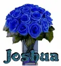 Joshua