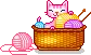 kitty