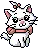 kitty