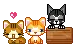 kittens