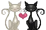 kitty love