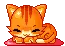 sleepy kitty