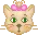 timide kitty