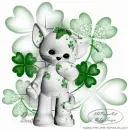St. Pattys Cat