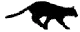 cat creeping