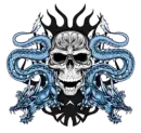 Skulls