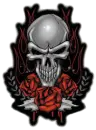 Skulls n roses