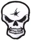 cracked skull
