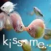 kiss me