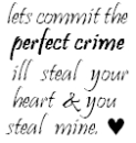 Perfect Crime