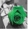 My awsome Flower