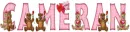 Cameran