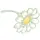 white daisey
