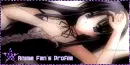 Anime Fans Profile