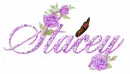 ANIMATED BUTTERFLY