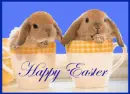  Easter Bunnies in cup
