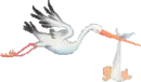 stork with baby