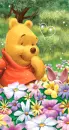Pooh