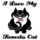 Tuxedo cat