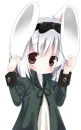 nice nice niceee bunny